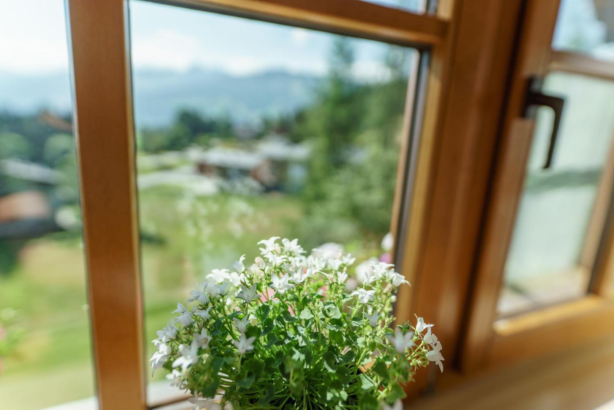 Landhaus Birgbichler - Apartments Mit Bergblick Inklusive Sommercard! Ramsau am Dachstein Exterior photo