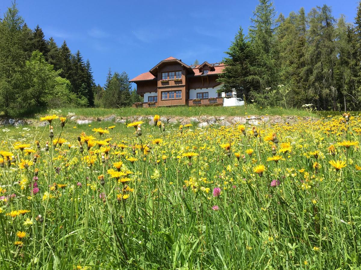 Landhaus Birgbichler - Apartments Mit Bergblick Inklusive Sommercard! Ramsau am Dachstein Exterior photo